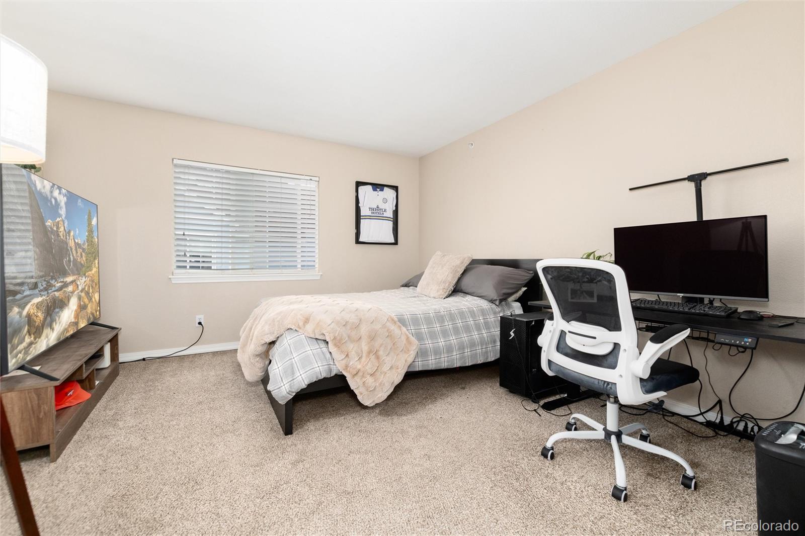 MLS Image #21 for 2423  cutters circle,castle rock, Colorado