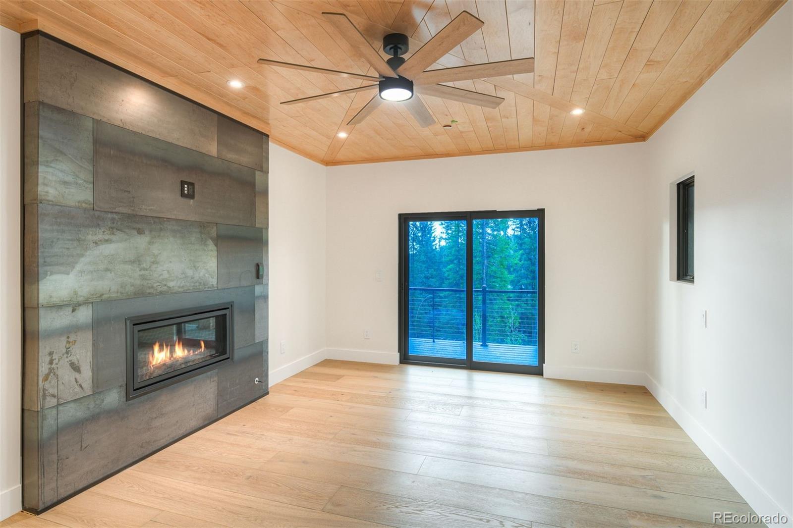 MLS Image #20 for 534  county road 534 ,breckenridge, Colorado