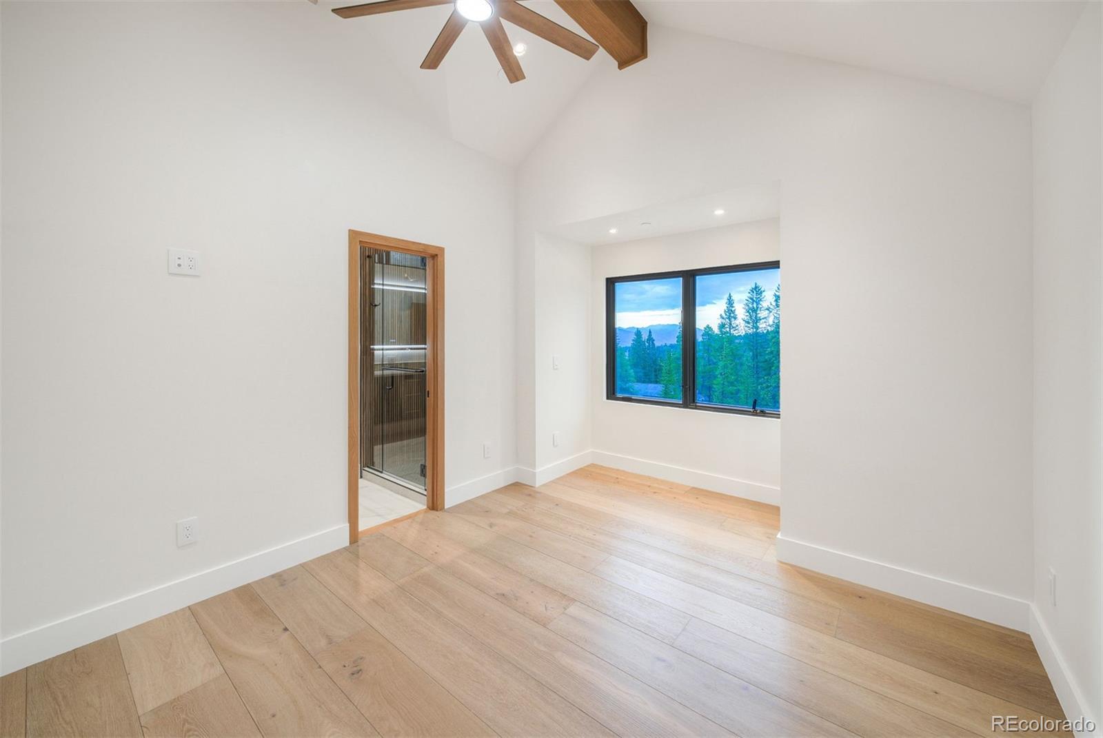 MLS Image #30 for 534  county road 534 ,breckenridge, Colorado
