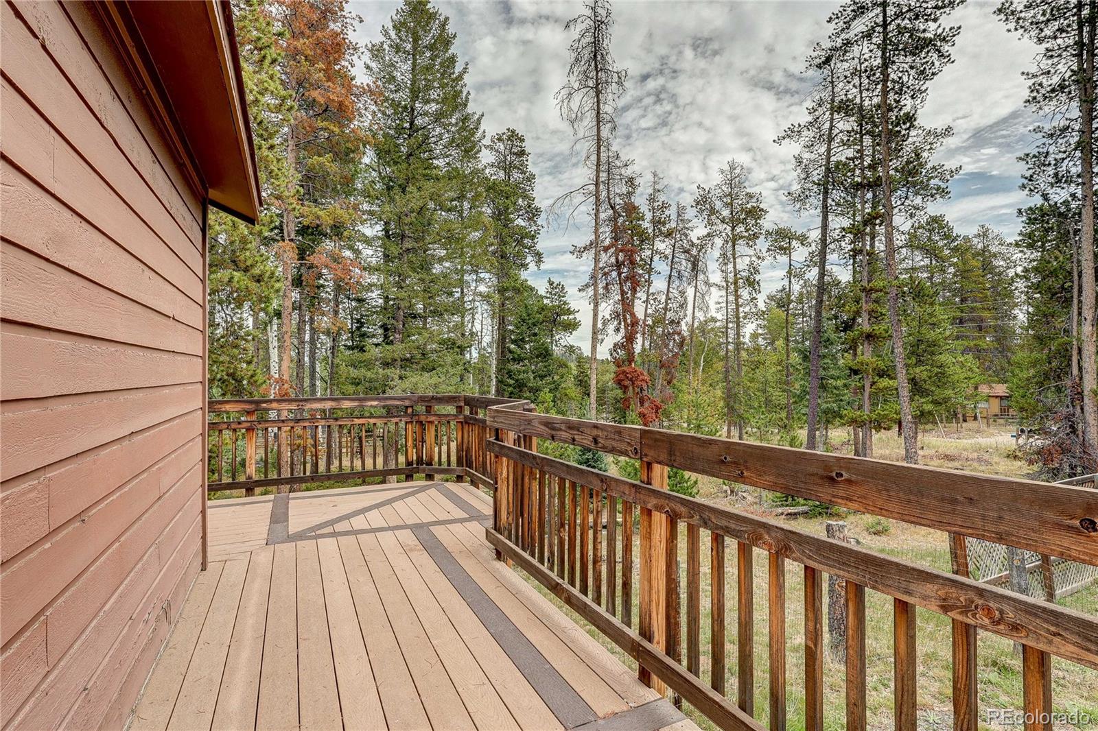 MLS Image #10 for 10850  oehlmann avenue,conifer, Colorado