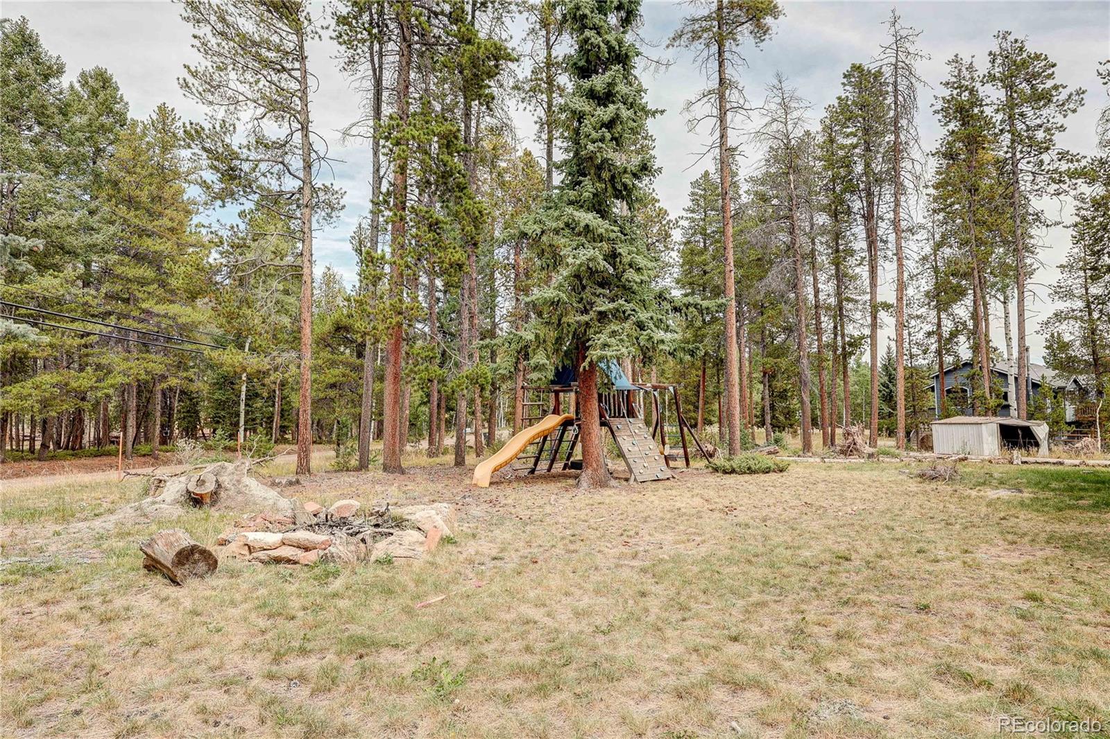 MLS Image #8 for 10850  oehlmann avenue,conifer, Colorado