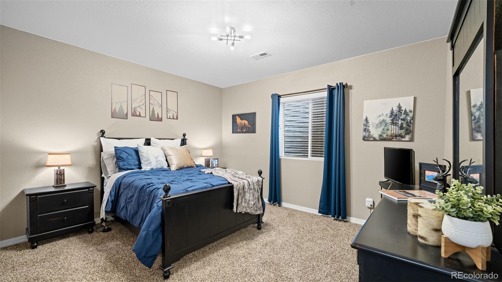 MLS Image #26 for 6923  tahoe rim drive,colorado springs, Colorado