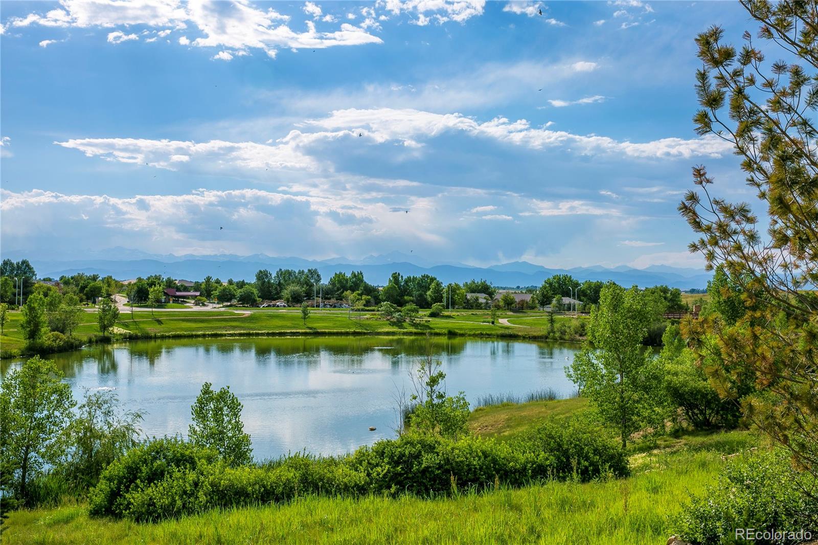 MLS Image #36 for 16701  antero street,broomfield, Colorado