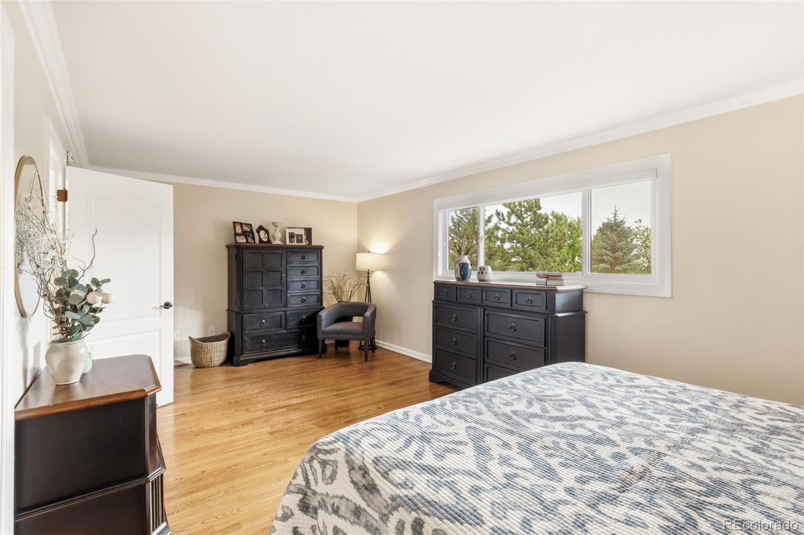 MLS Image #25 for 713  count pourtales drive ,colorado springs, Colorado