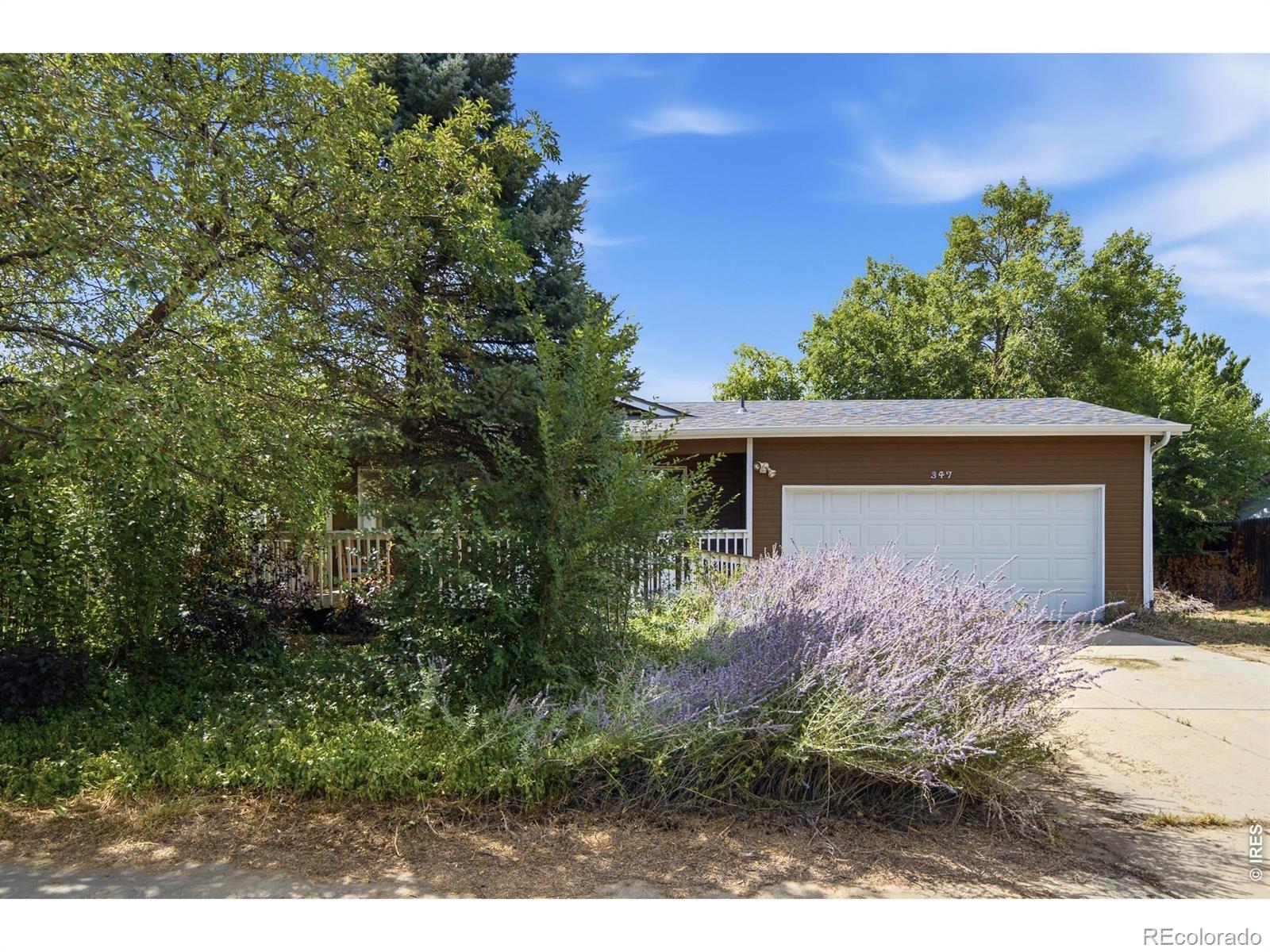 MLS Image #6 for 347  walnut drive,frederick, Colorado