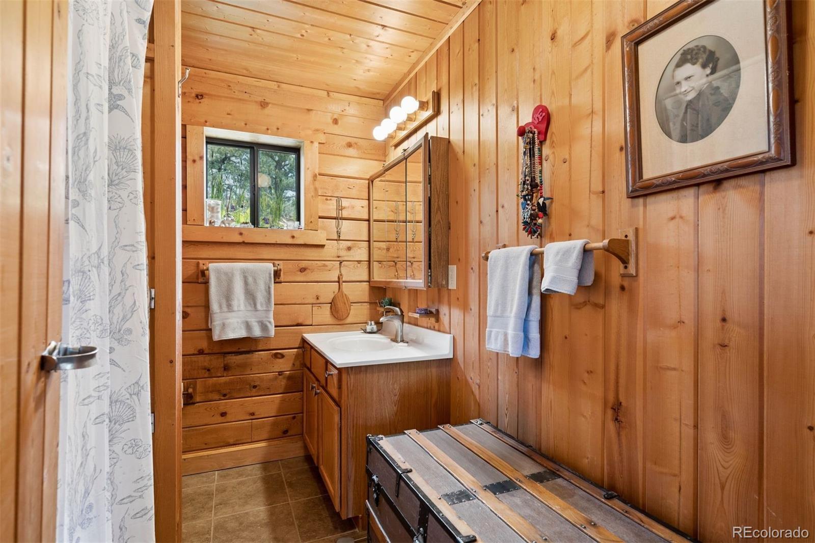 MLS Image #10 for 247  bunny road,bailey, Colorado