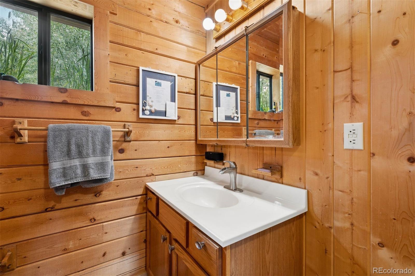 MLS Image #14 for 247  bunny road,bailey, Colorado