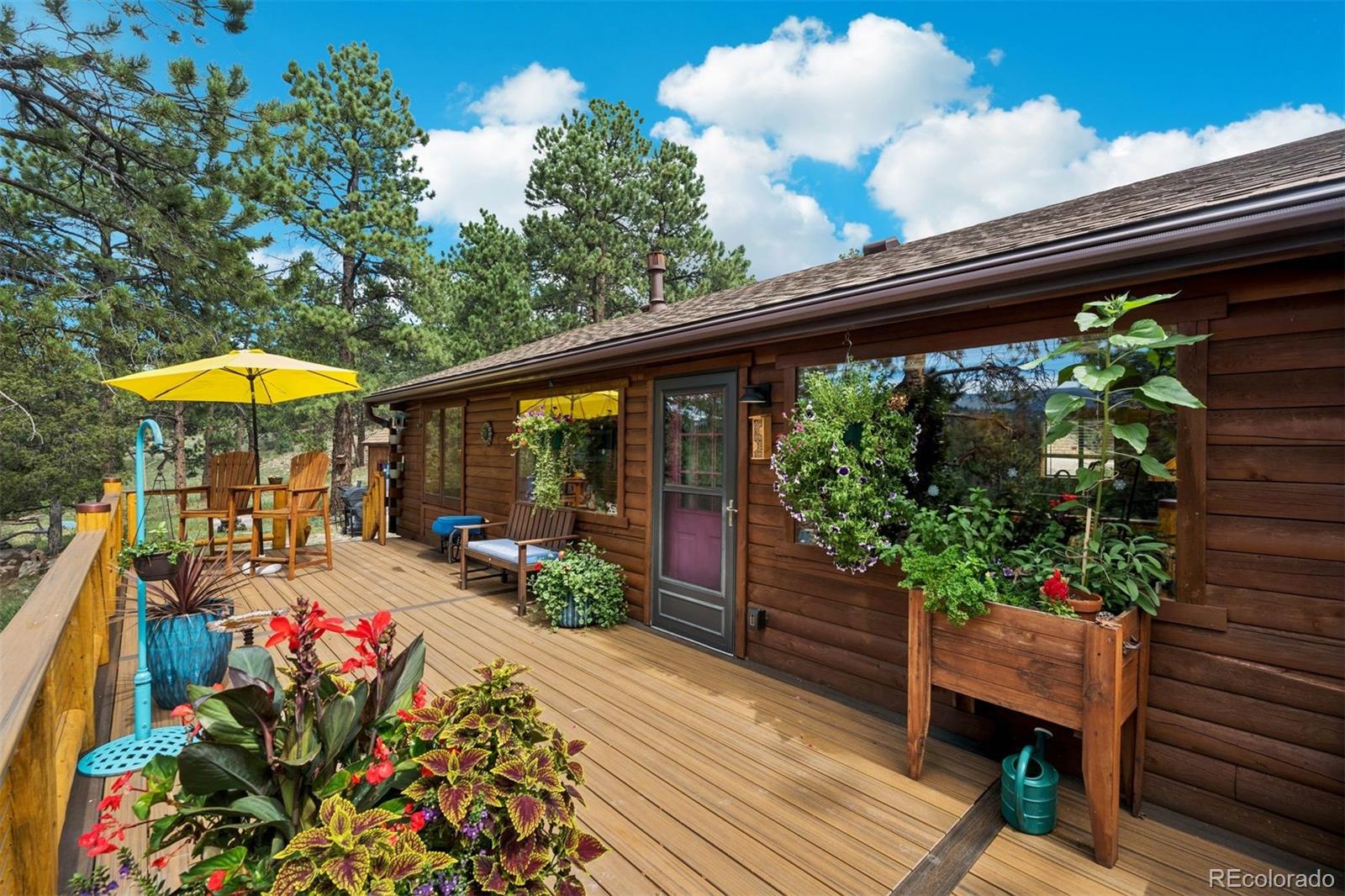 MLS Image #15 for 247  bunny road,bailey, Colorado