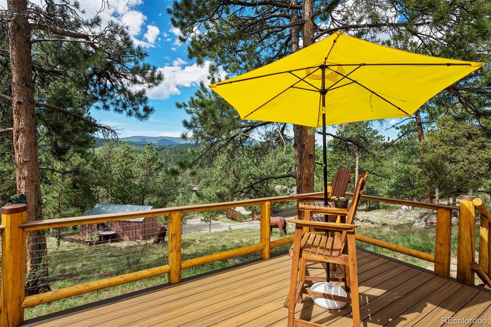 MLS Image #16 for 247  bunny road,bailey, Colorado
