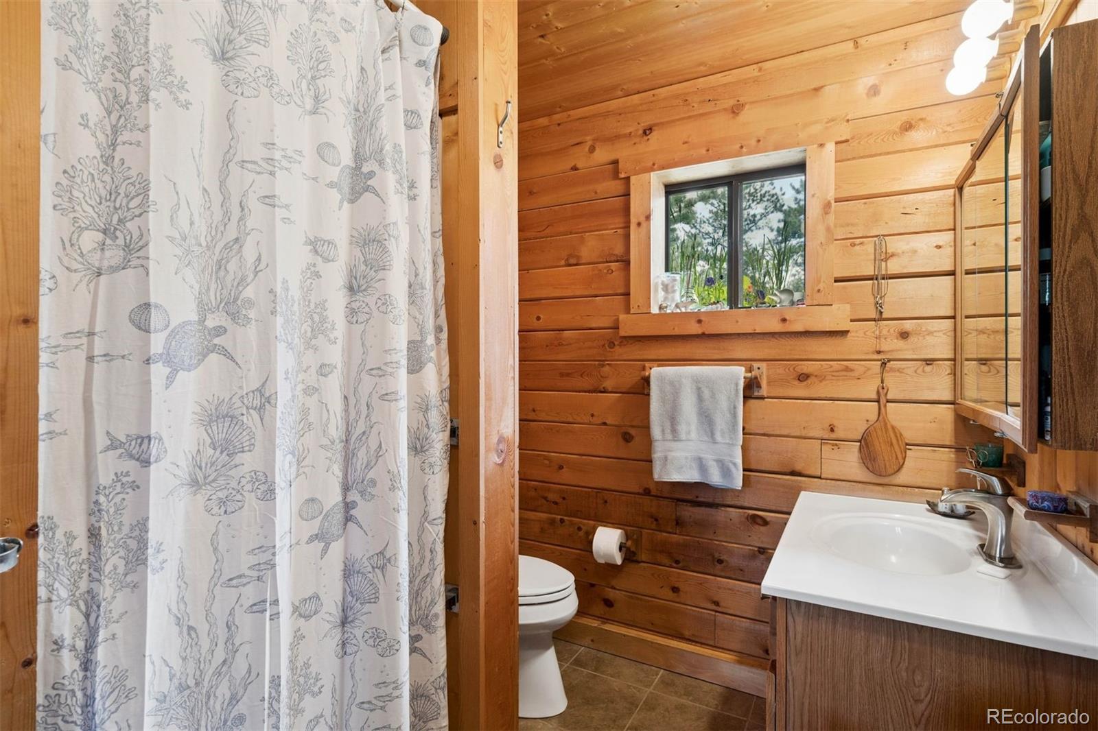 MLS Image #17 for 247  bunny road,bailey, Colorado