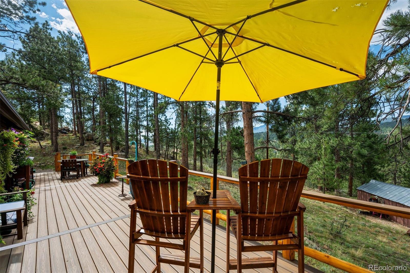MLS Image #18 for 247  bunny road,bailey, Colorado