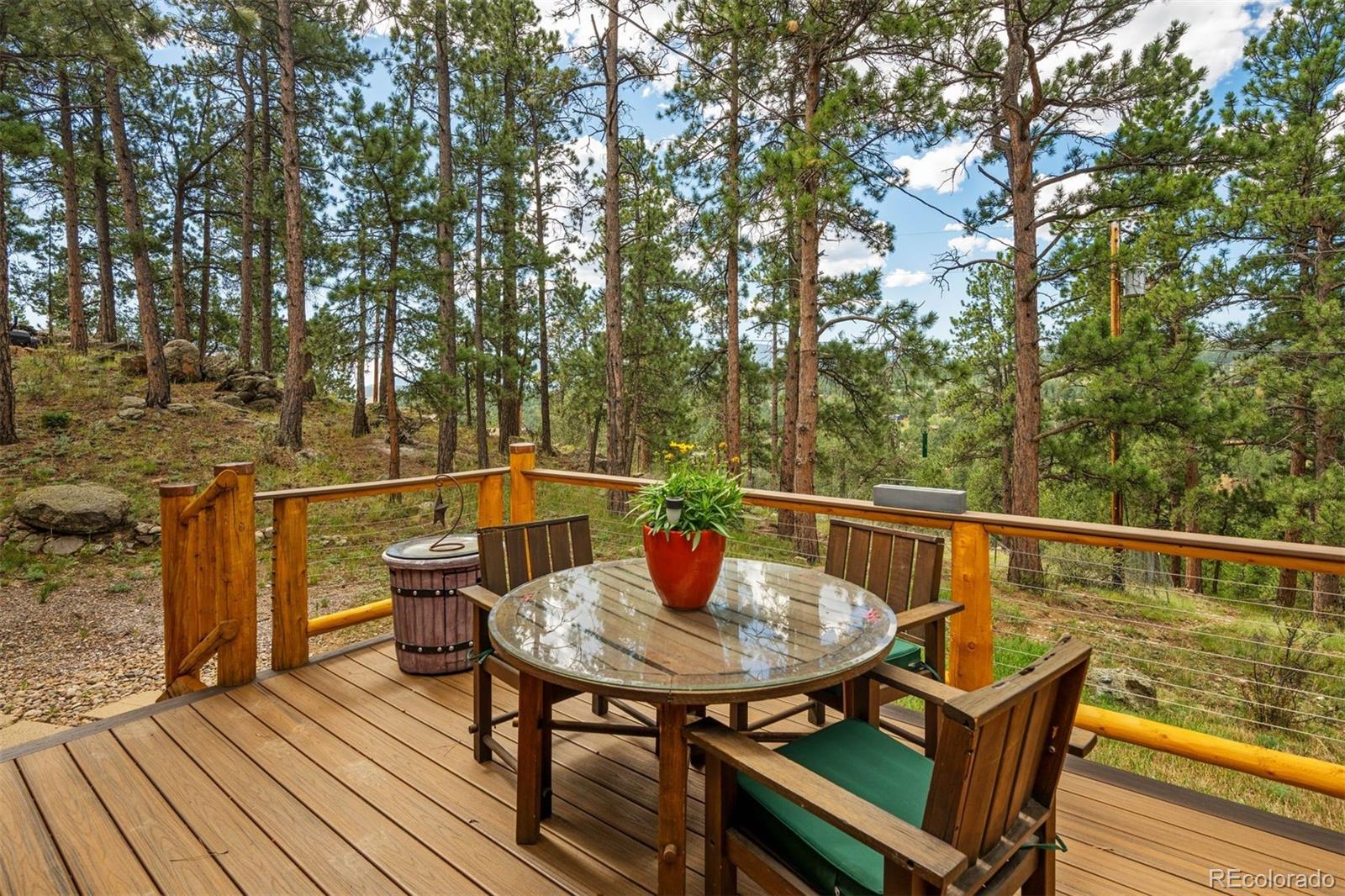 MLS Image #19 for 247  bunny road,bailey, Colorado