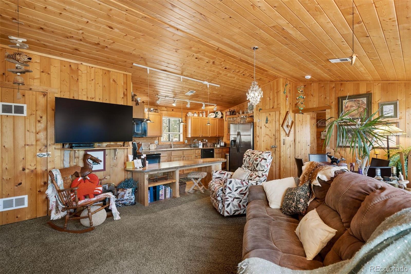 MLS Image #22 for 247  bunny road,bailey, Colorado