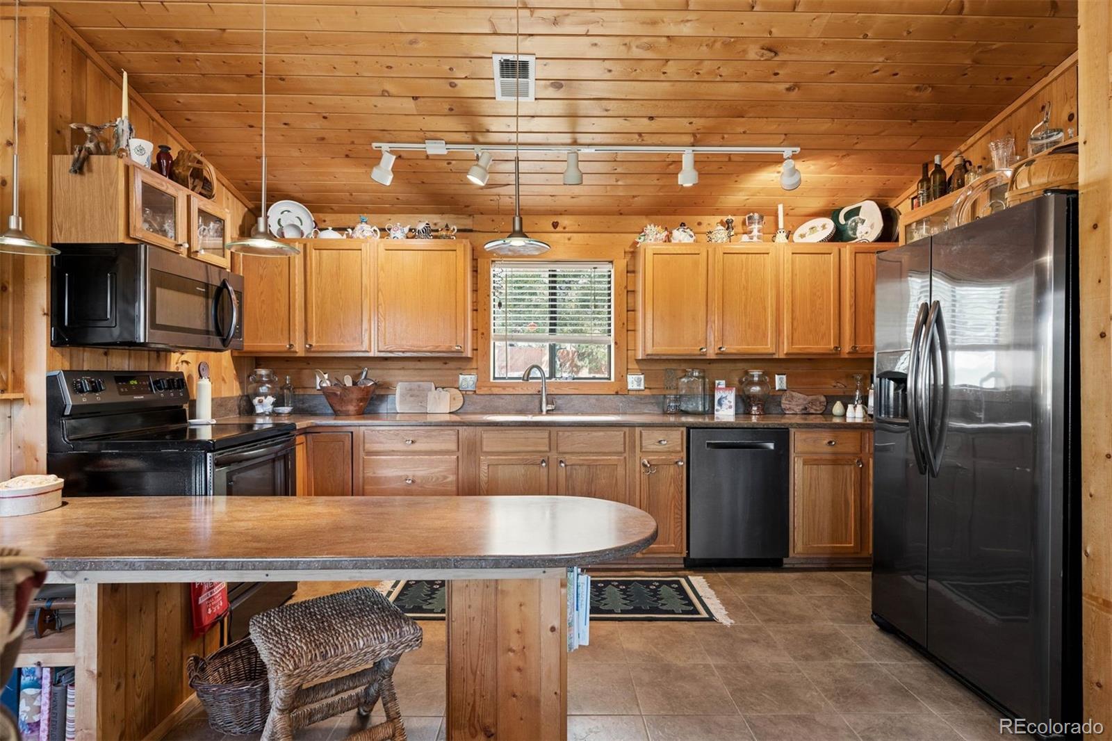 MLS Image #3 for 247  bunny road,bailey, Colorado