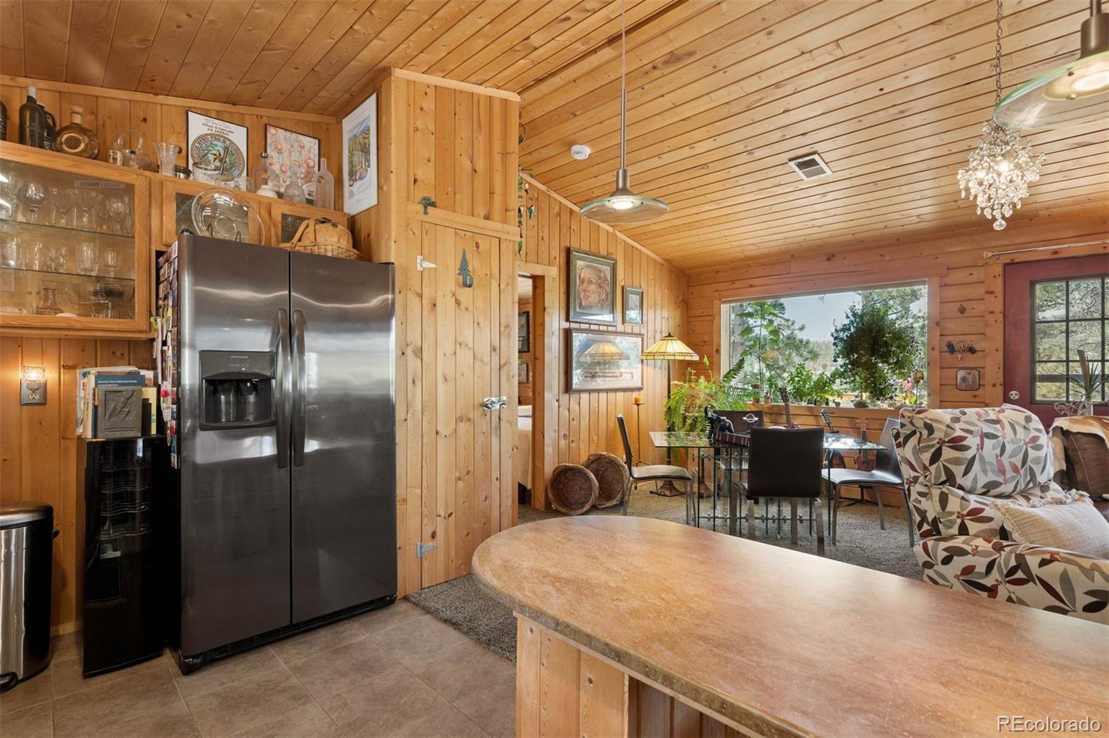 MLS Image #4 for 247  bunny road,bailey, Colorado