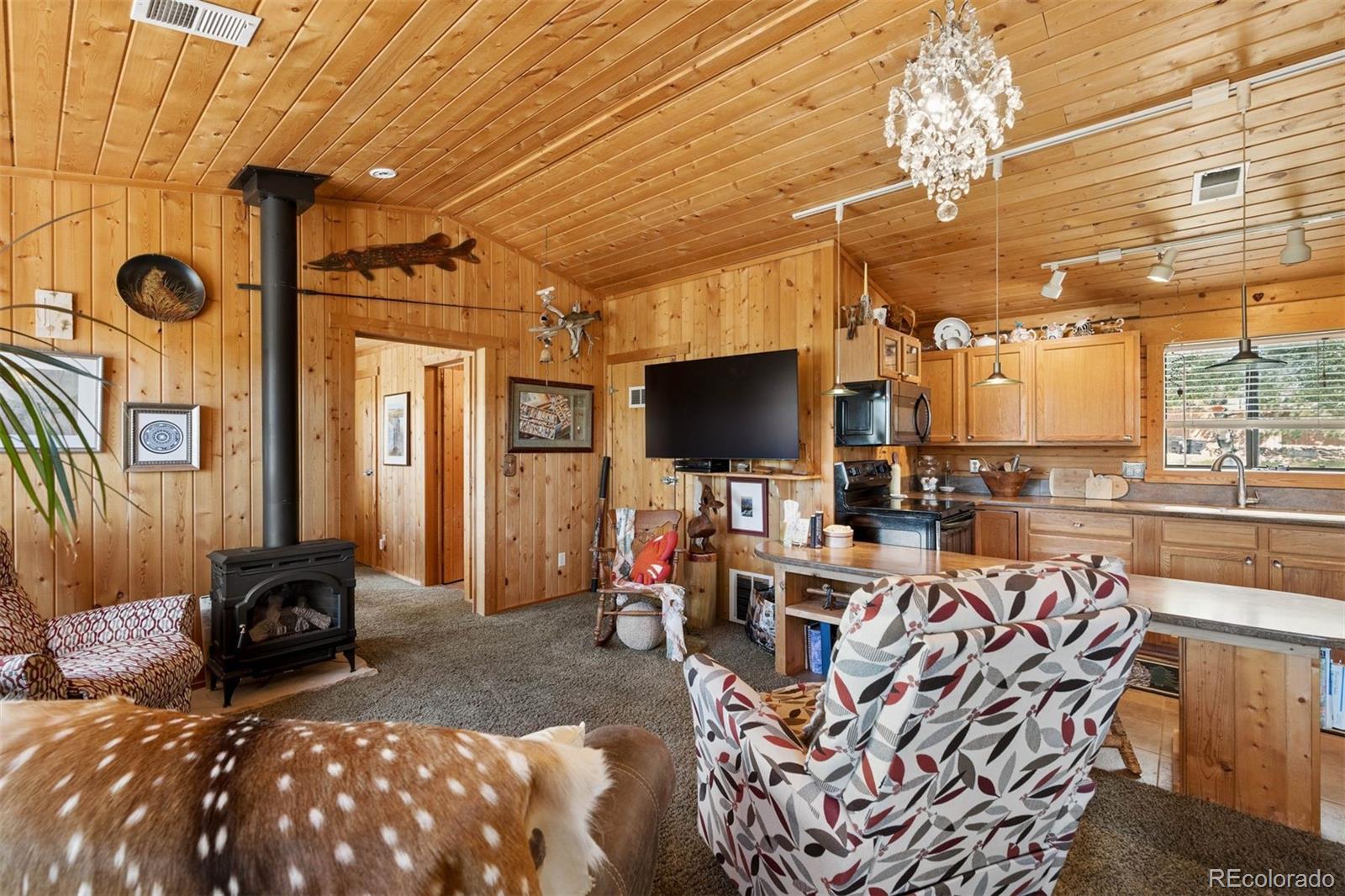 MLS Image #5 for 247  bunny road,bailey, Colorado