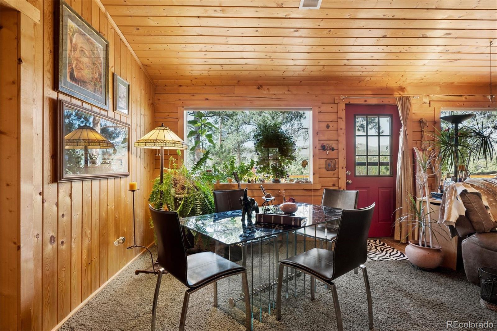 MLS Image #6 for 247  bunny road,bailey, Colorado
