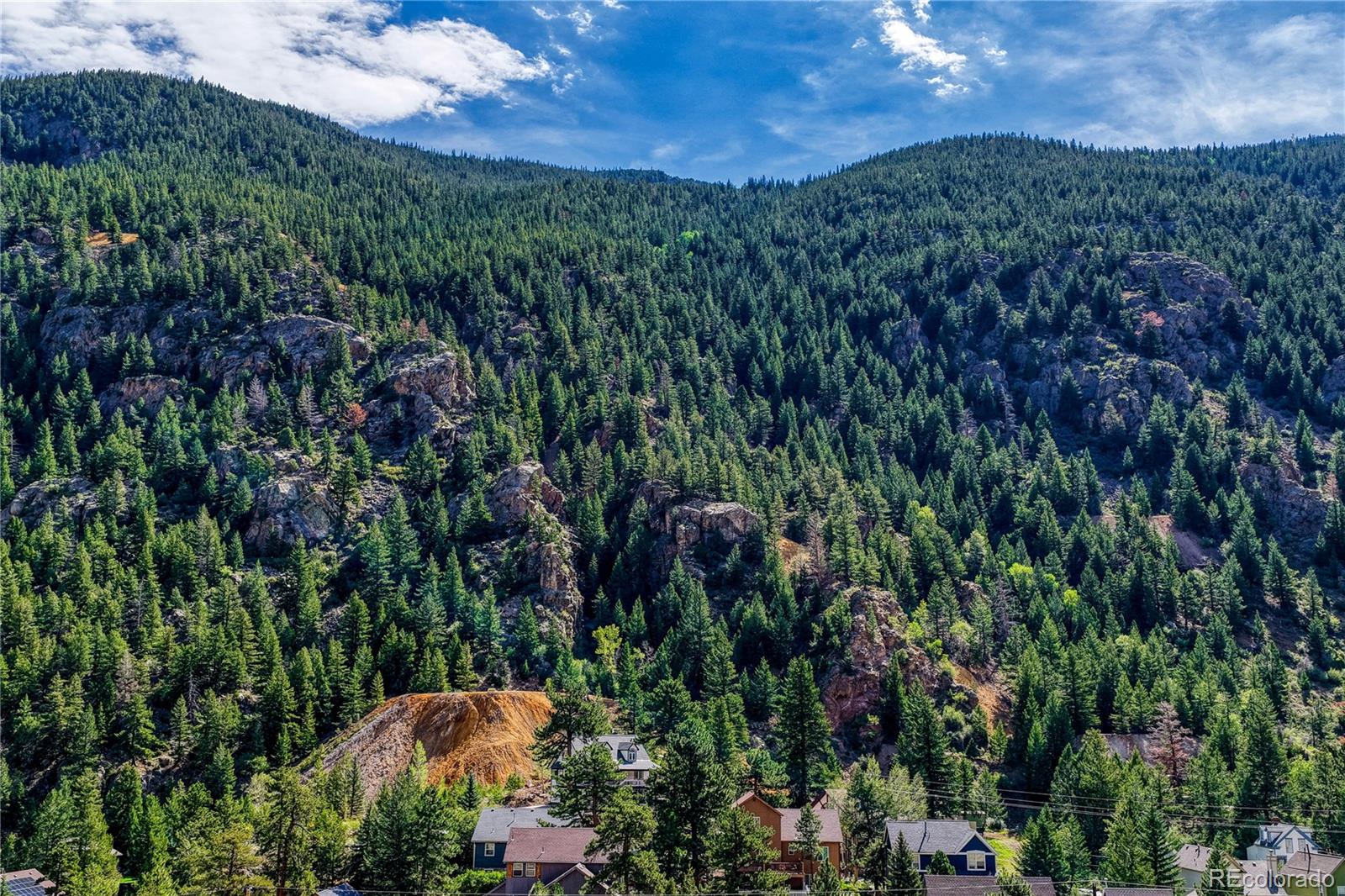 MLS Image #38 for 1114  griffith street,georgetown, Colorado