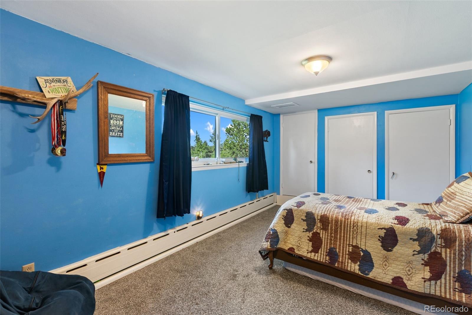 MLS Image #42 for 105  piney point lane,woodland park, Colorado