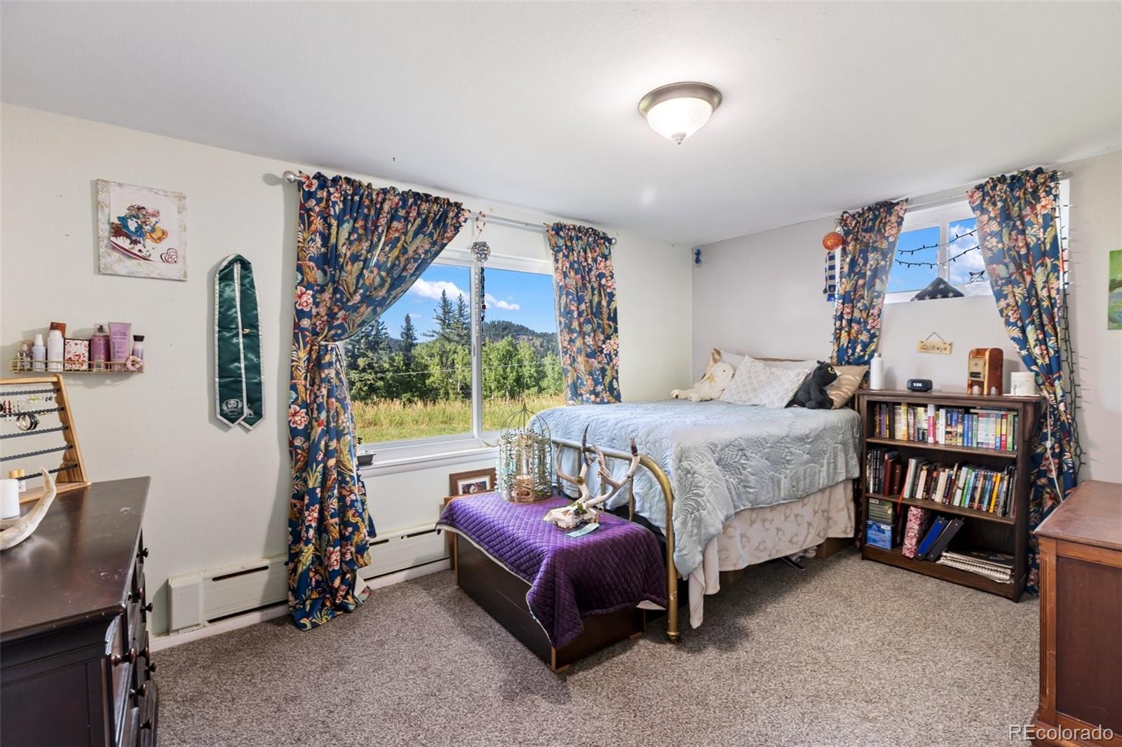 MLS Image #43 for 105  piney point lane,woodland park, Colorado