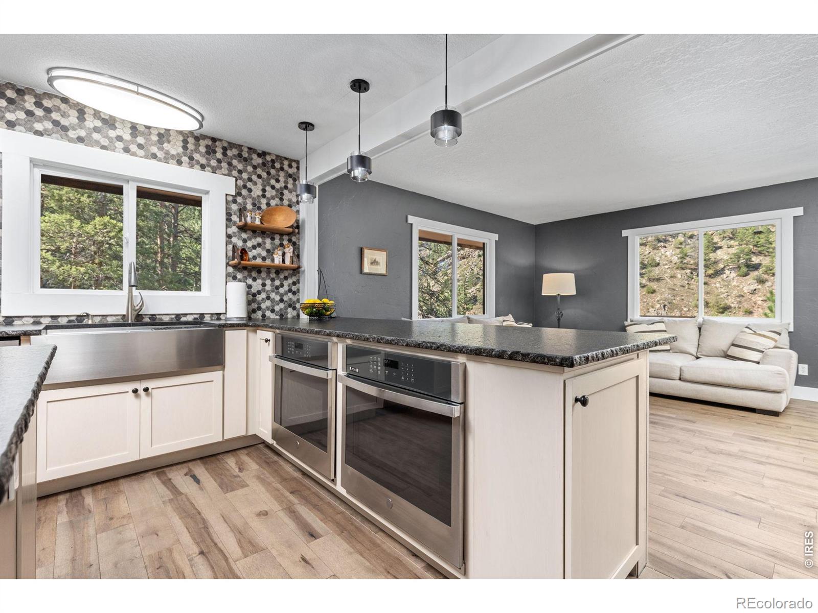 MLS Image #11 for 130  sly fox road,drake, Colorado