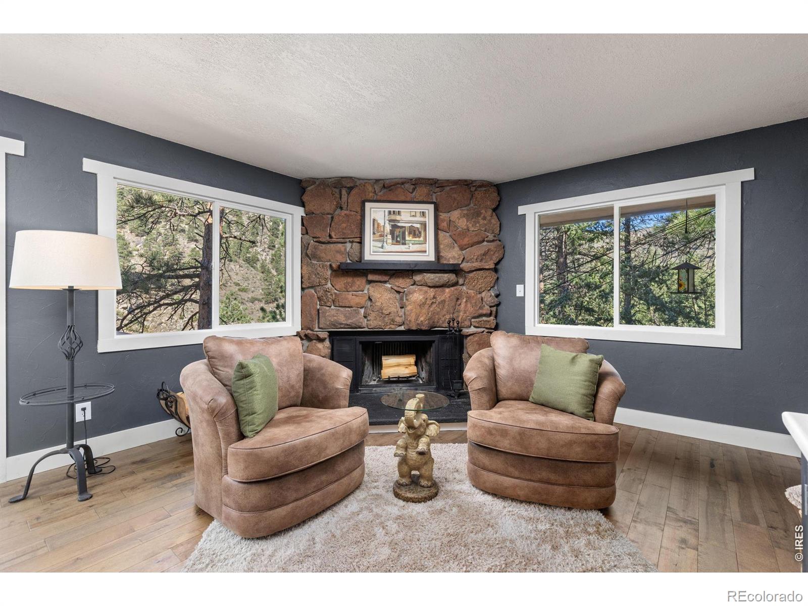 MLS Image #16 for 130  sly fox road,drake, Colorado