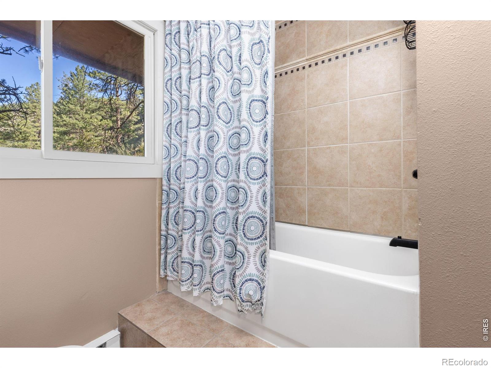MLS Image #23 for 130  sly fox road,drake, Colorado