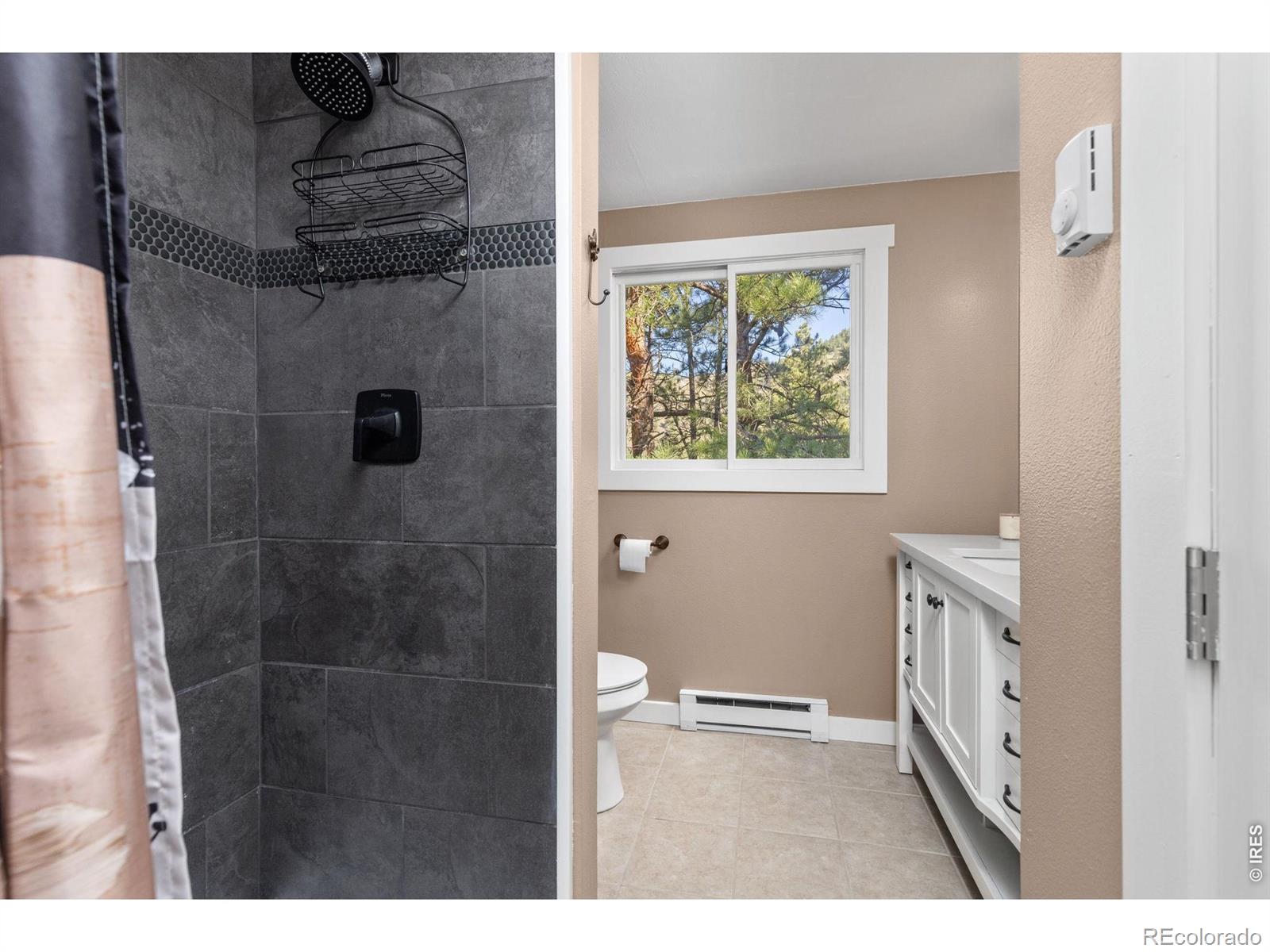 MLS Image #27 for 130  sly fox road,drake, Colorado