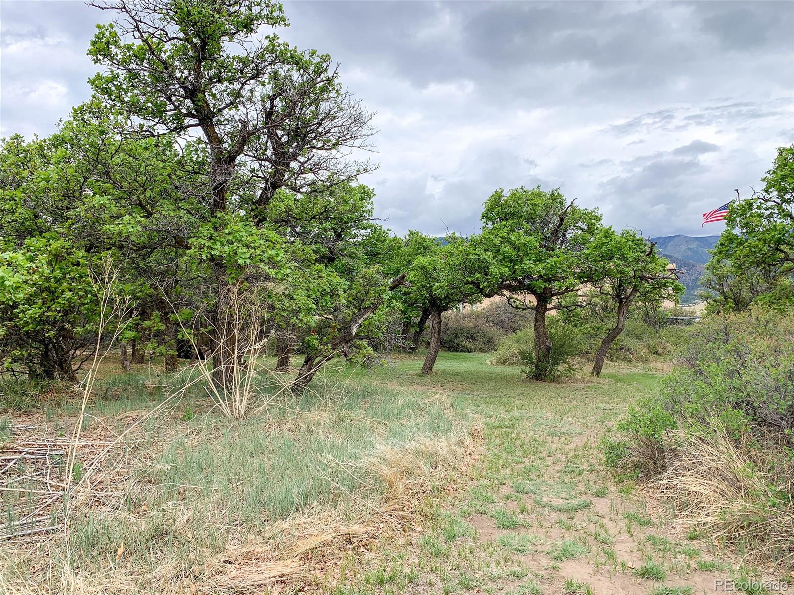 MLS Image #22 for 4920  county road 650 ,rye, Colorado