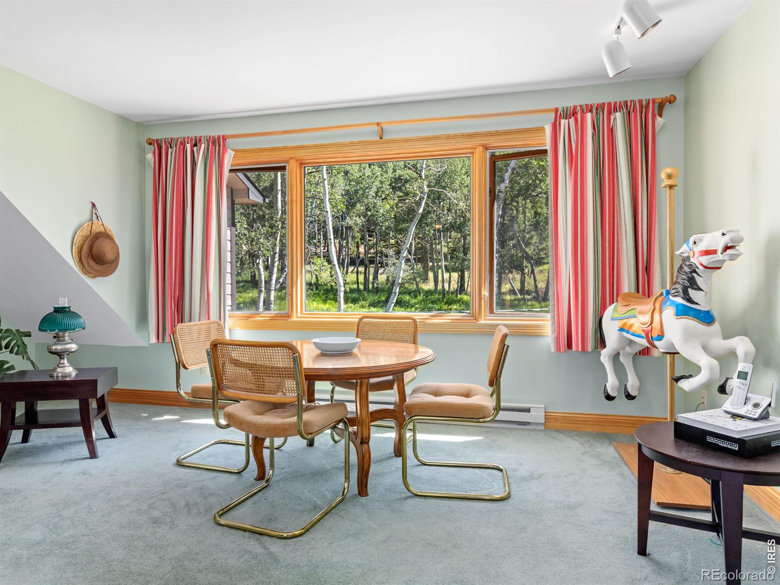 MLS Image #21 for 34  aspen meadow lane,estes park, Colorado