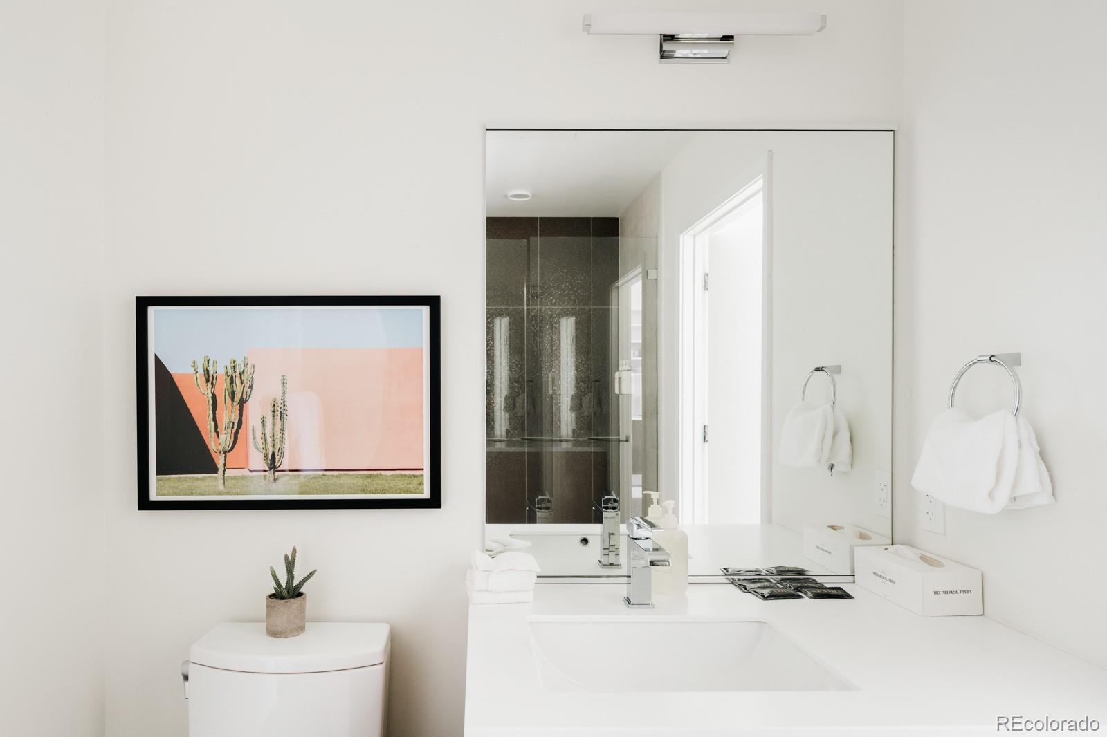 MLS Image #6 for 2880  zuni street 507,denver, Colorado