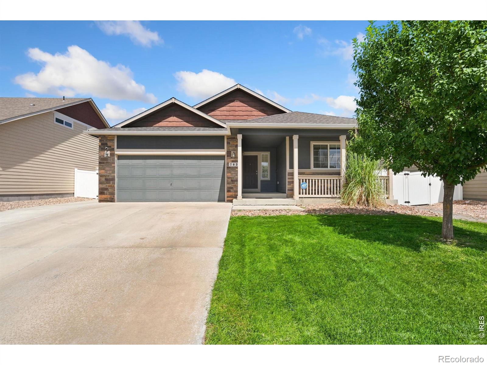 MLS Image #0 for 763  dakota way,windsor, Colorado