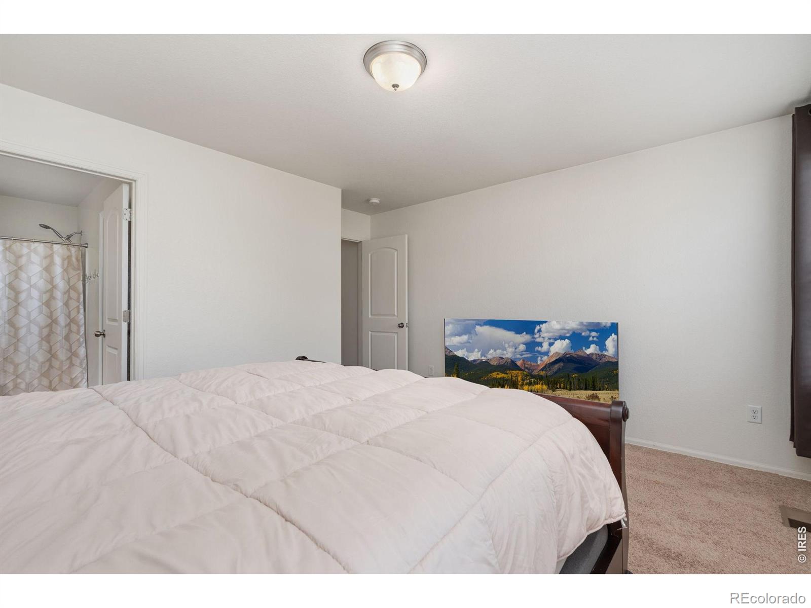 MLS Image #20 for 763  dakota way,windsor, Colorado