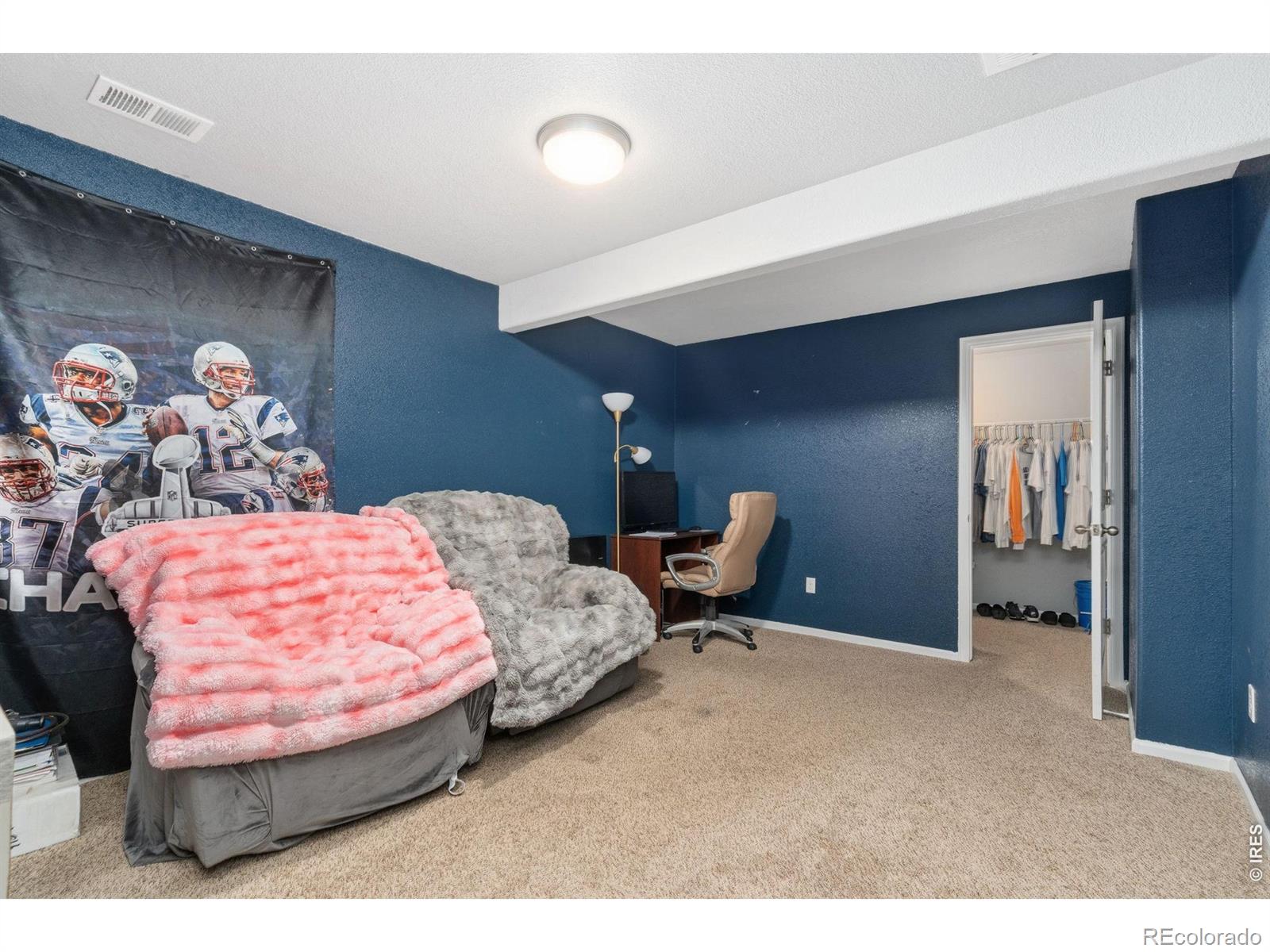 MLS Image #30 for 763  dakota way,windsor, Colorado