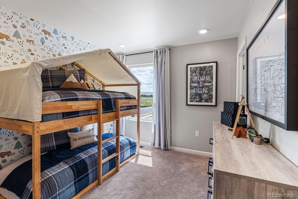 MLS Image #16 for 28443 e 3rd avenue,watkins, Colorado