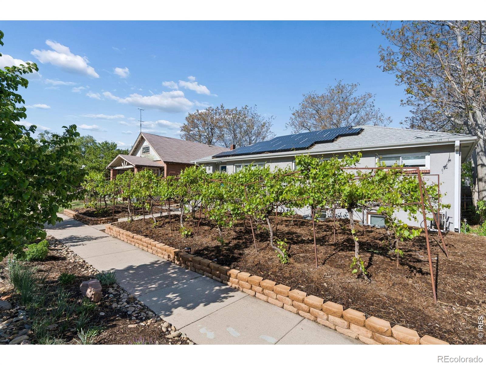 MLS Image #30 for 3045 n columbine street,denver, Colorado