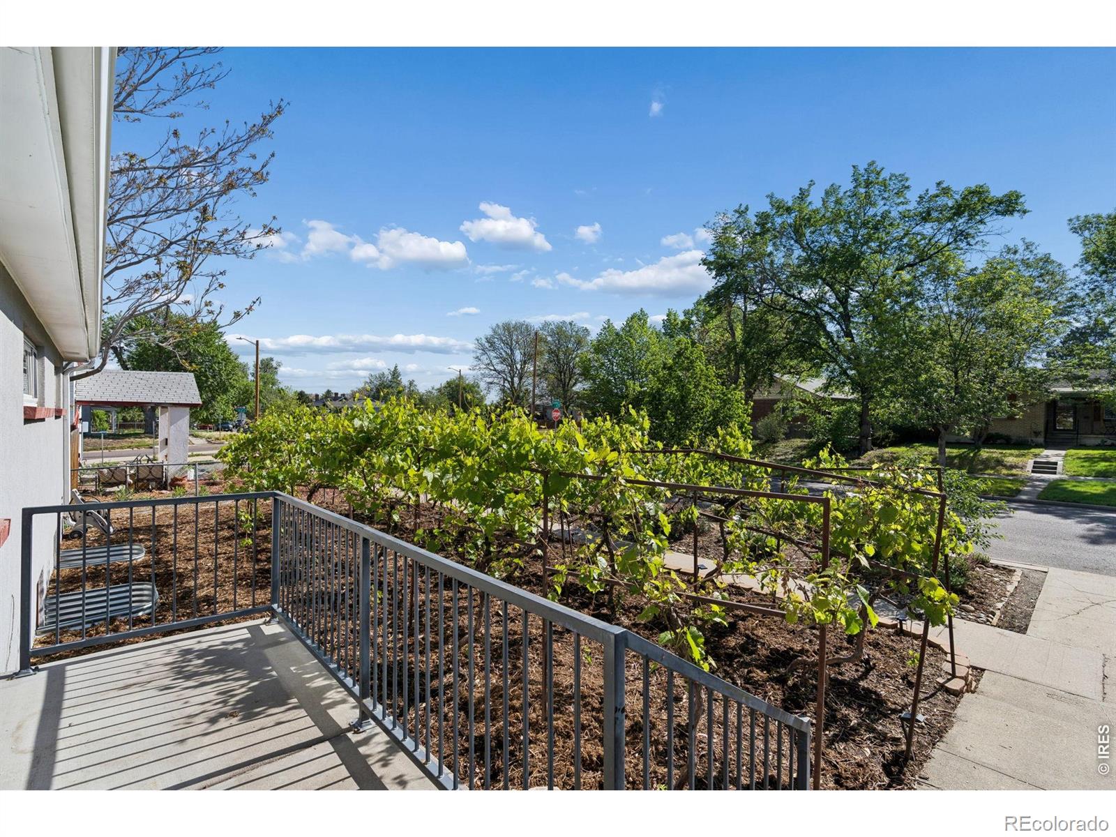 MLS Image #31 for 3045 n columbine street,denver, Colorado