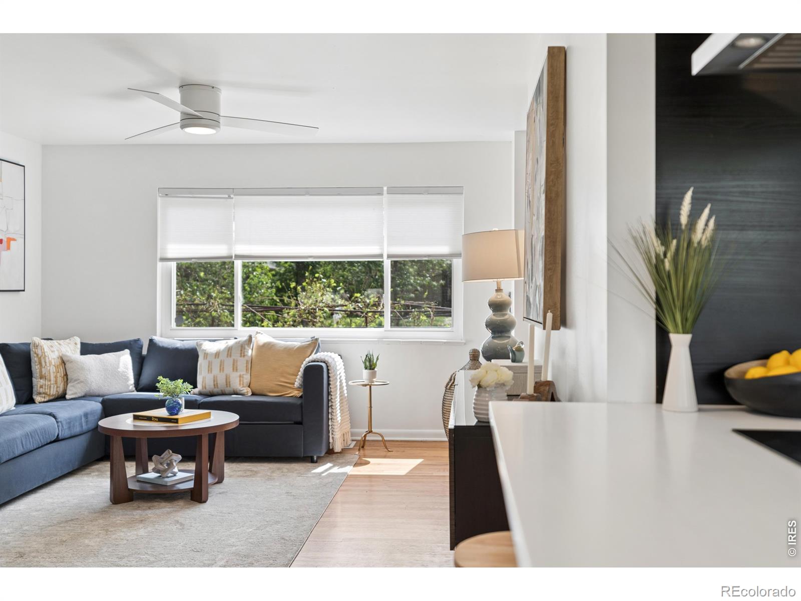MLS Image #8 for 3045 n columbine street,denver, Colorado