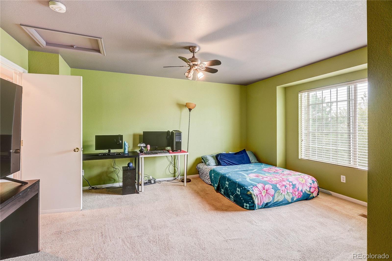 MLS Image #14 for 21316 e 55th place,denver, Colorado
