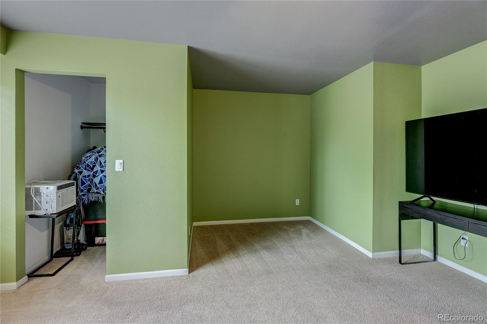 MLS Image #15 for 21316 e 55th place,denver, Colorado