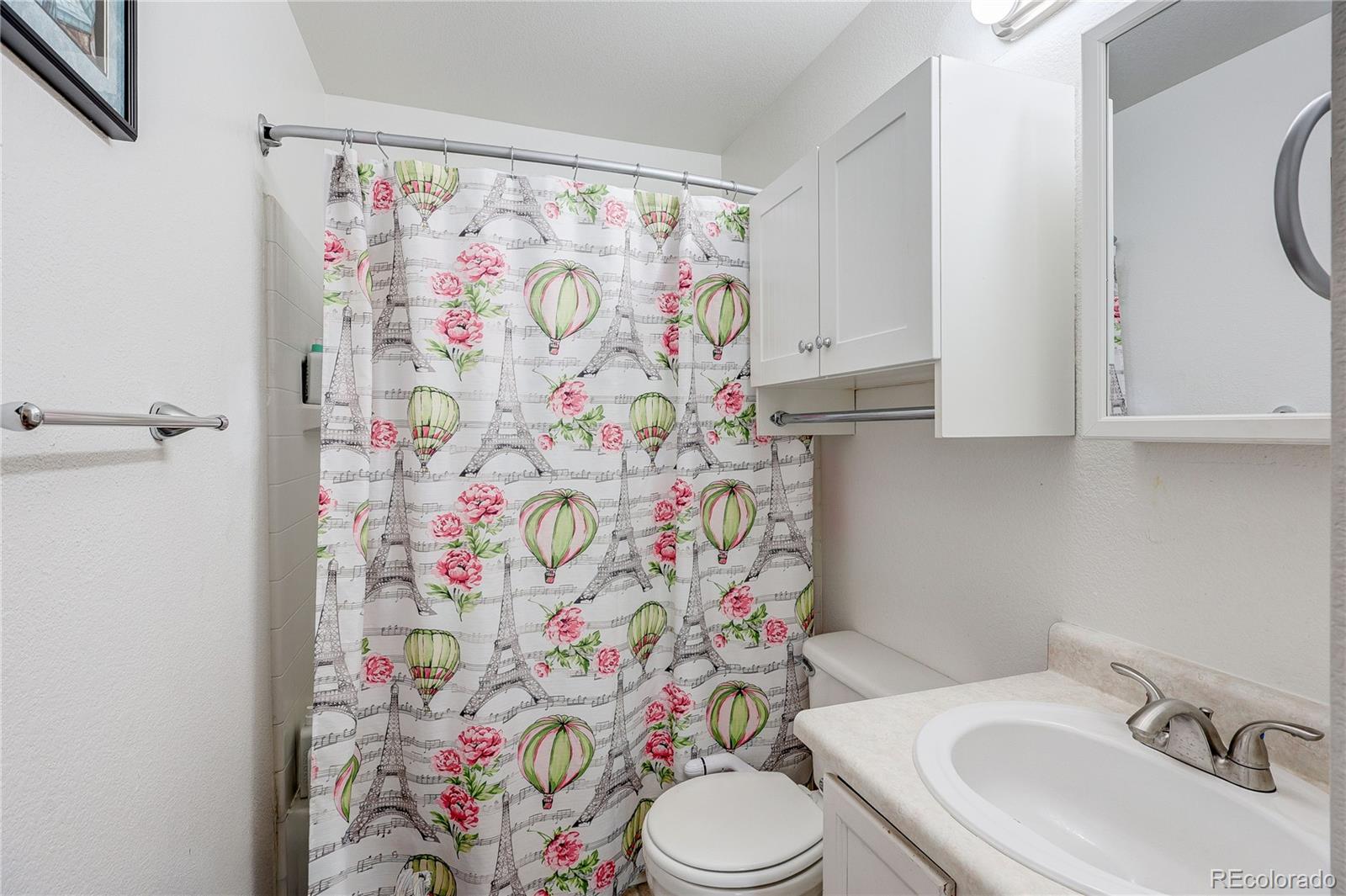 MLS Image #22 for 21316 e 55th place,denver, Colorado