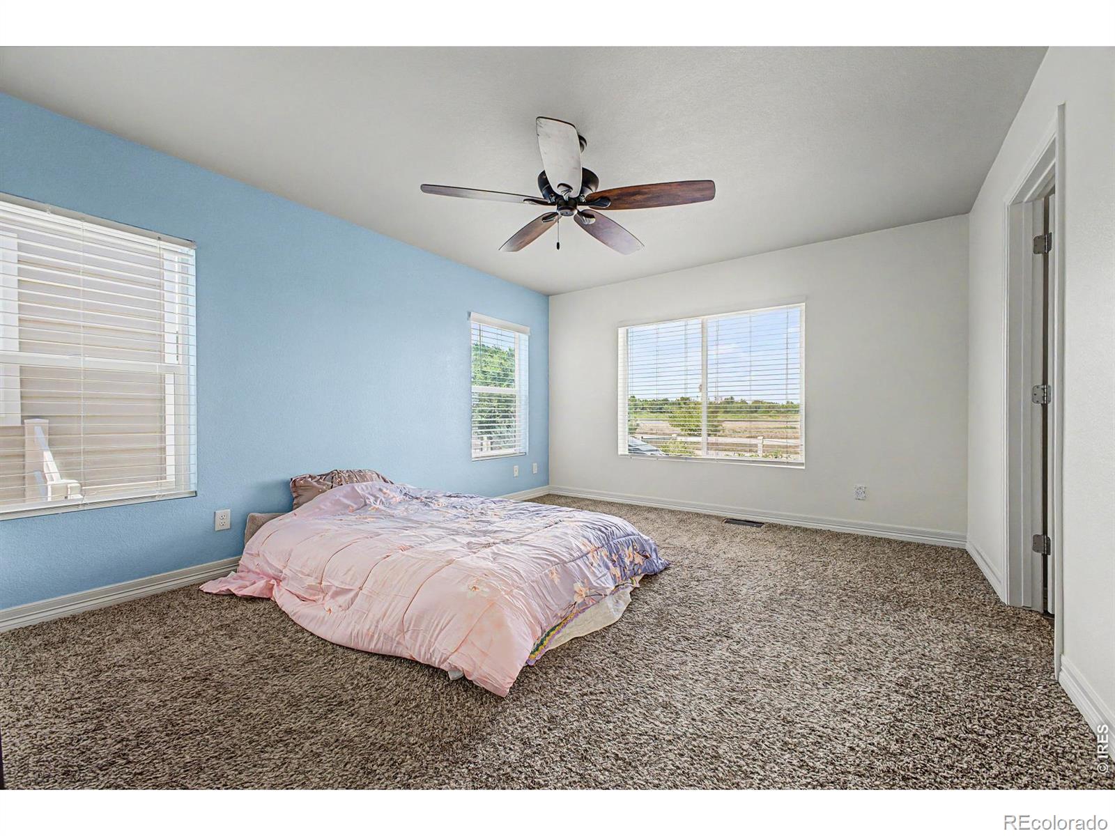 MLS Image #10 for 3431  oberon drive,loveland, Colorado