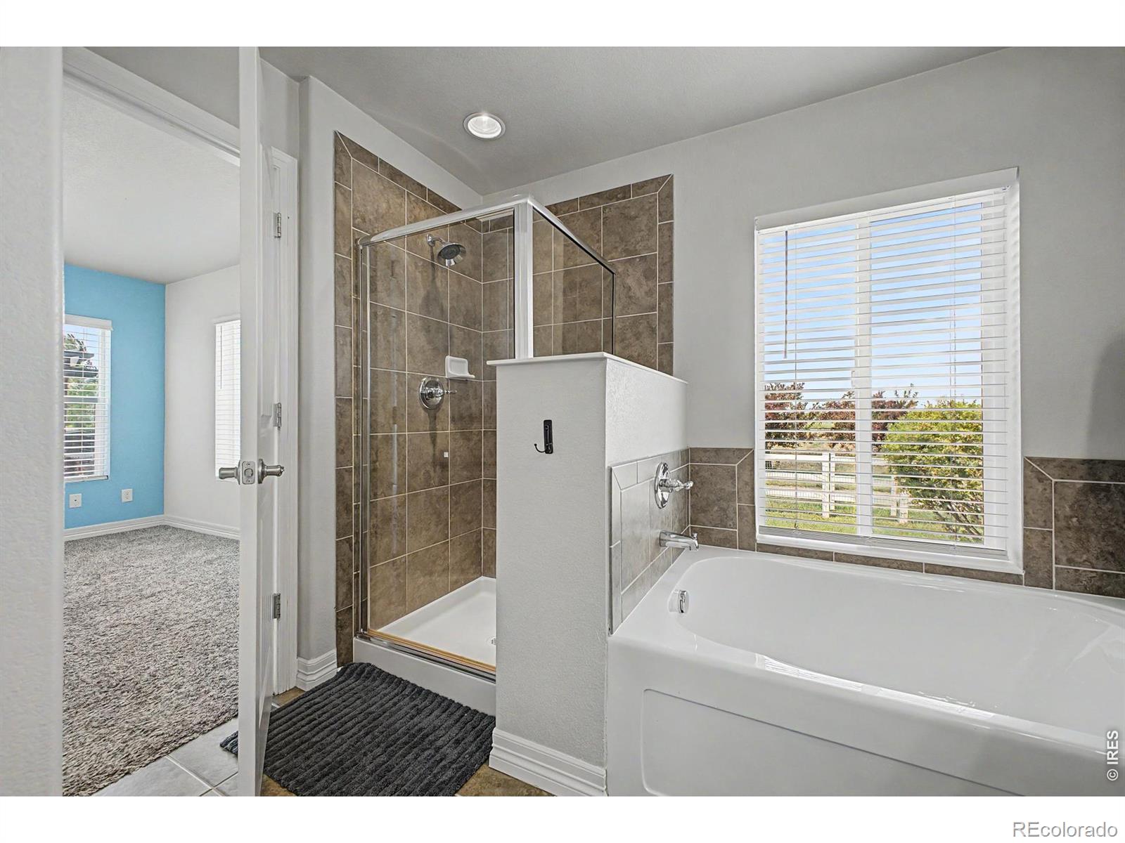 MLS Image #14 for 3431  oberon drive,loveland, Colorado