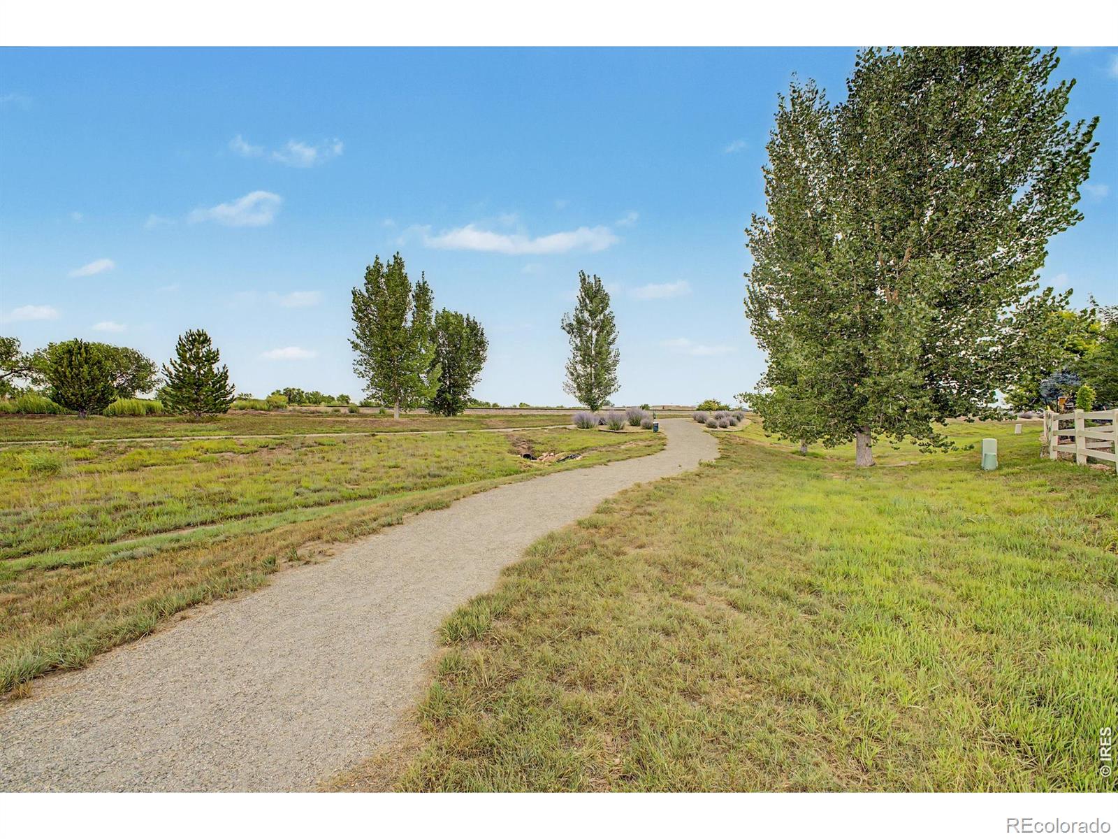 MLS Image #37 for 3431  oberon drive,loveland, Colorado