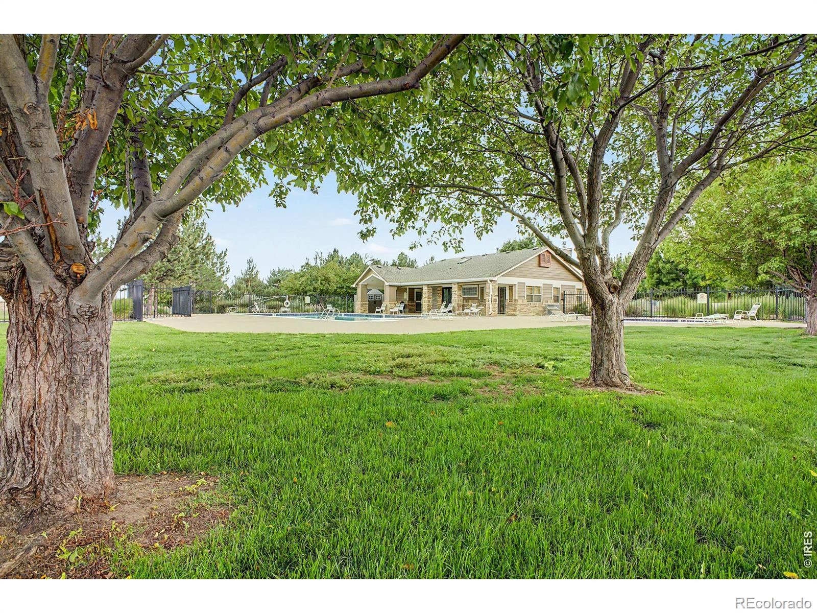 MLS Image #43 for 3431  oberon drive,loveland, Colorado