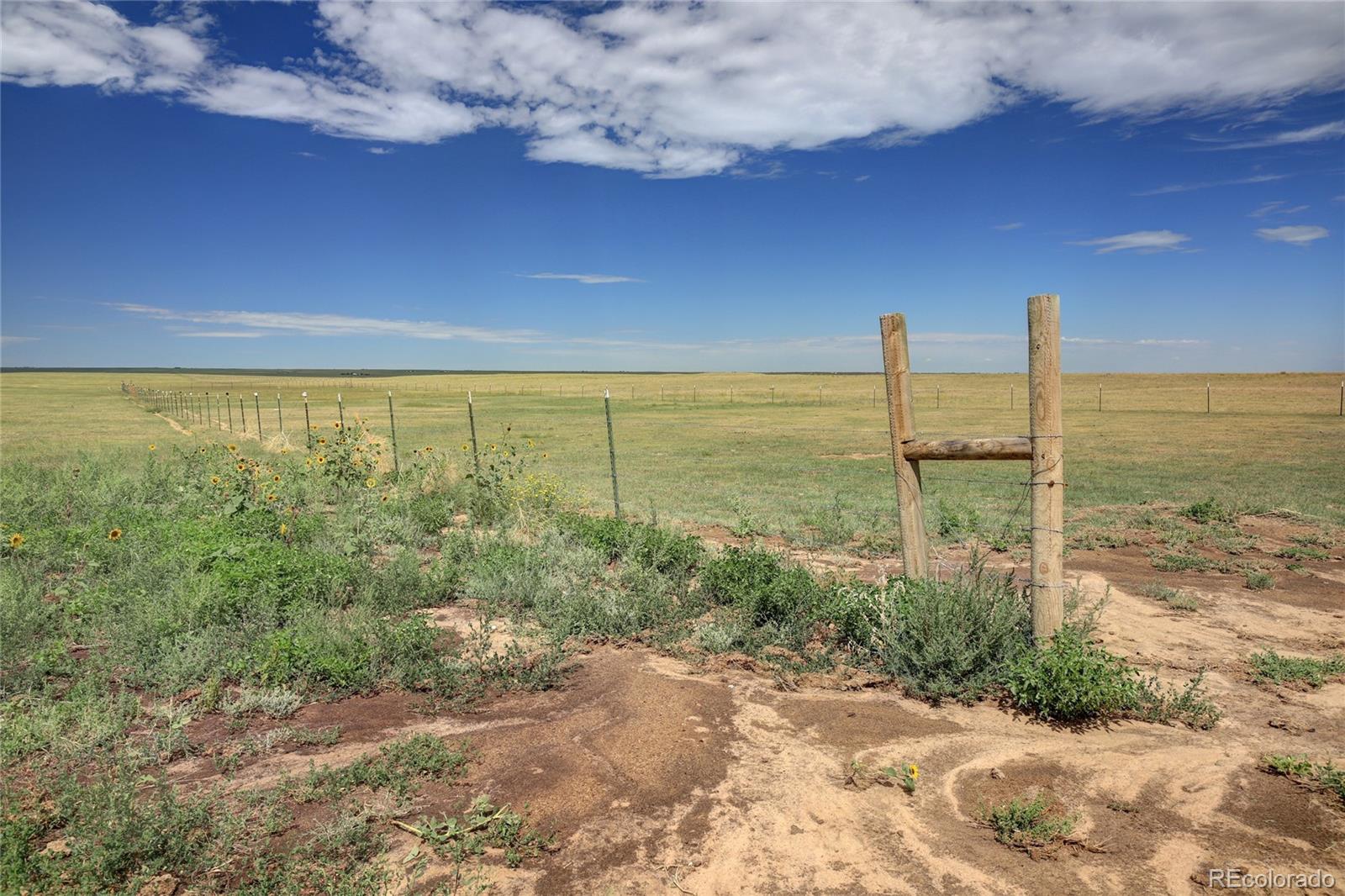 MLS Image #28 for 37188  truckton road,rush, Colorado