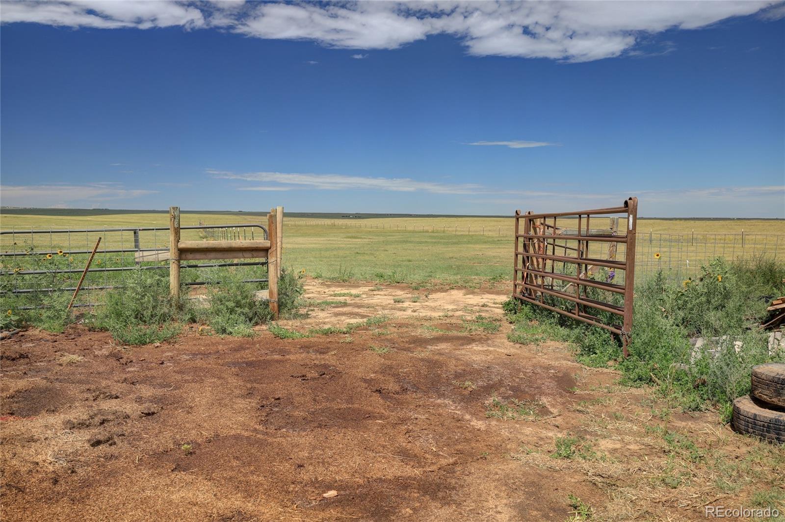 MLS Image #30 for 37188  truckton road,rush, Colorado