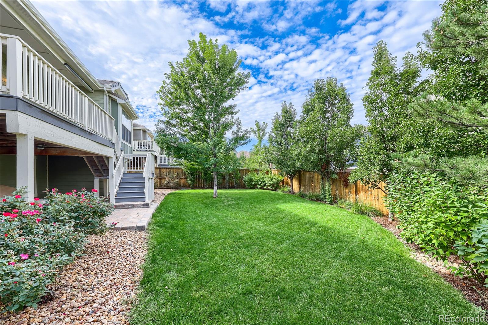 MLS Image #13 for 10081  bristleridge street,parker, Colorado