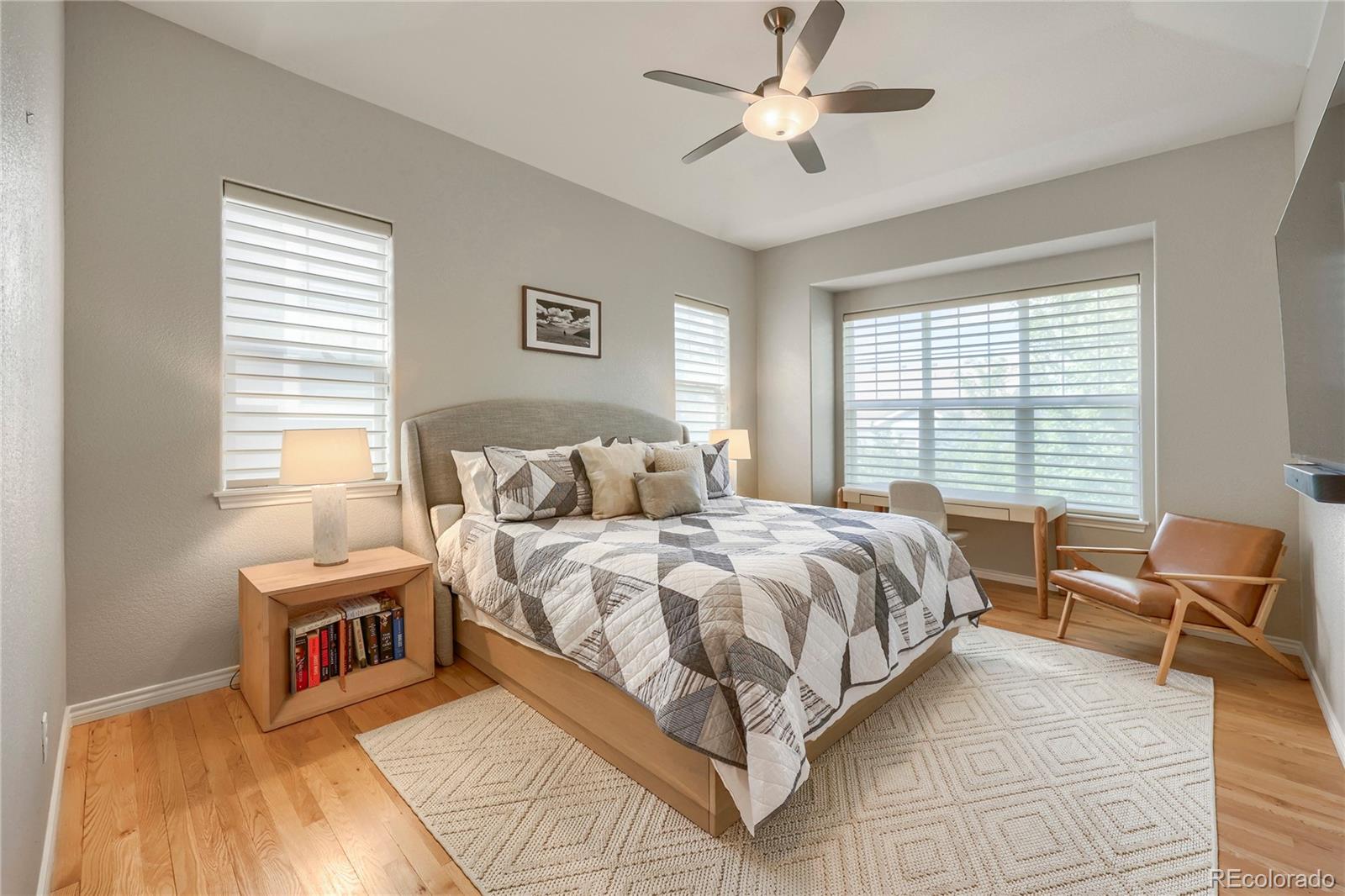 MLS Image #16 for 10081  bristleridge street,parker, Colorado