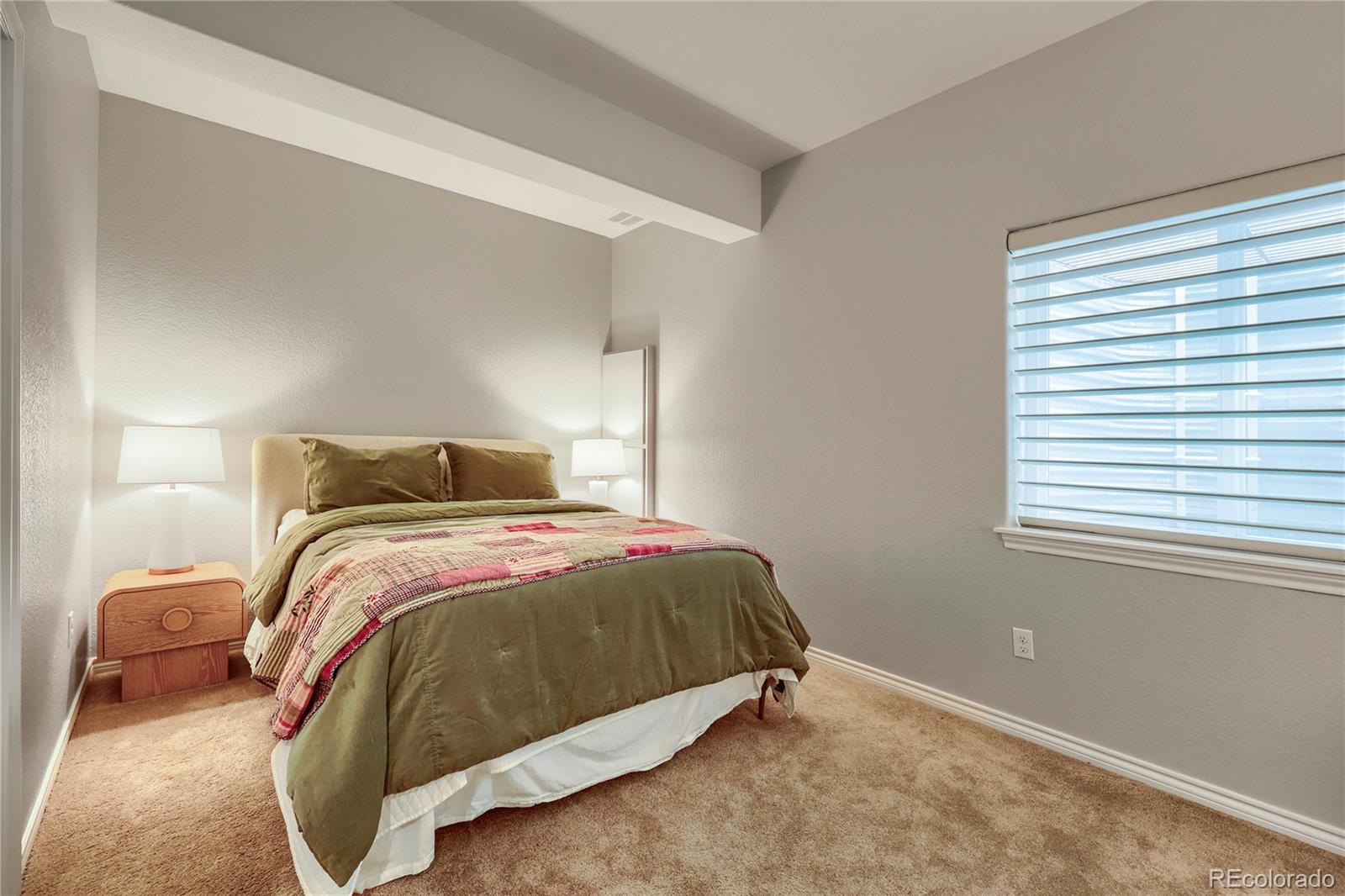 MLS Image #25 for 10081  bristleridge street,parker, Colorado